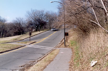 The path turns right after going under the P  St Bridge.  Do not cross the entrance road but continue along the dirt path up the hill next to the entrance road.