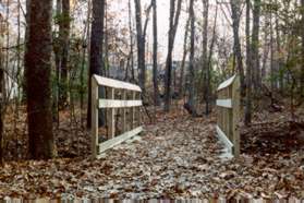 The stone dust trail ends after crossing a bridge over a gully.  Turn left onto the mulched trail.