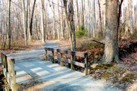 A trail intersection appears after crossing a bridge.  Keep on the trail to the left.