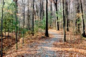 The trail goes down the hill with a gully and homes on the left.