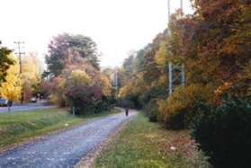 After crossing Park St the trail goes up a slight grade.