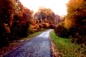 Trails intersect from the left and right.  Turn left onto the wide asphalt trail.