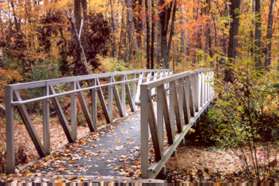 The trail crosses a bridge over Wolftrap Creek.