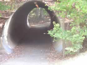 Follow the path on the west side of the parking lot into the tunnel under South Lakes Dr.