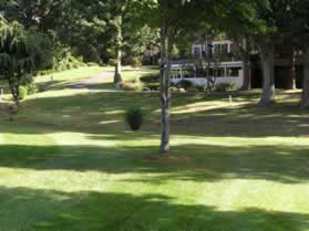 The trail curves to the left and goes in between the homes.