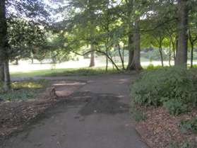 Turn right at the trail intersection in the wooded area.