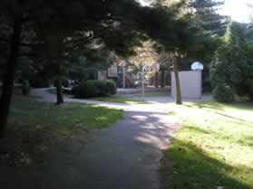 Stay on the trail as it passes play equipment on the right.