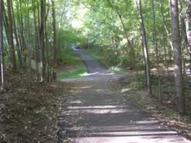 Turn right on the trail coming from the tunnel and follow it with the stream on your right.