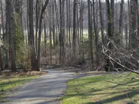 An asphalt trail intersects from the right.  Continue downhill on the present trail to the left.