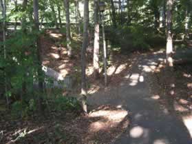 Turn left at the tunnel under South Lakes Dr. to return to South Lakes Park and the start of this walk.