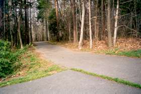 Turn left onto the intersecting trail at the top of the hill.