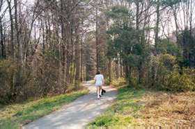 The trail enters the woods going up hill.