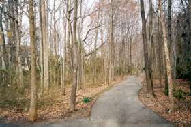 The baseball field ends in woods.  Continue straight on the path.