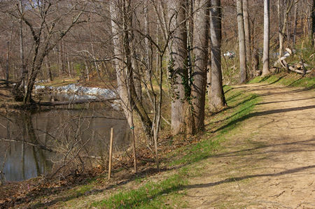 The trail is wide and flat at the start.