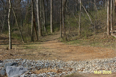 The trail narrows as it enters a wooded section.