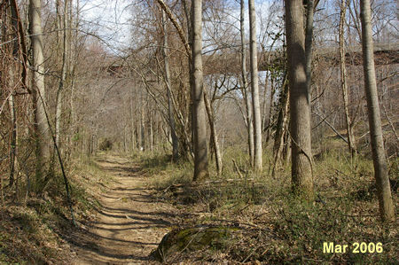 The trail passes under Old Dominion Dr.