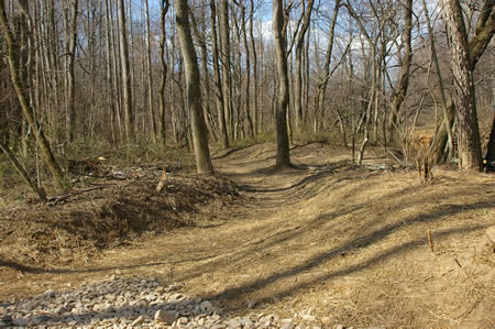 After crossing the walk turn right to follow the trail up stream.