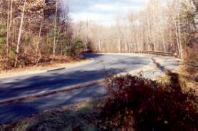 Turn right and follow the path along Walnut Branch Ln