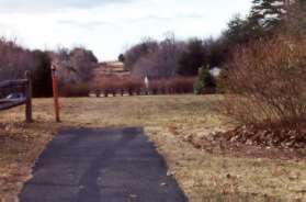 The asphalt path stops at the top of the hill.  Continue across the grass to the hedge shown.  The hedge is on the other side of Quail Ridge Ct.