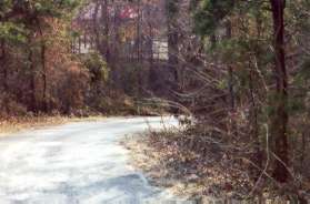 Take the wide trail to the left down the hill on the other side of Lake Newport Rd.  Do not take the trail down the steps.