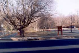 The walk starts on the asphalt service road on the south side of the park.