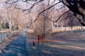 The service road goes west through the park next to a line of fences.