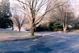 Follow the sidewalk on the left side of Rhapsody Dr.