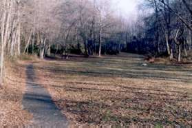 An asphalt trail intersects to the left going up the hill.  Stay on the trail along the creek.