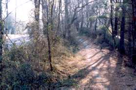 After crossing the creek the trail goes up the hill next to Lawyers Road.