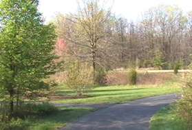 A path intersects from a play area on the left.