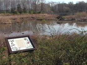 Several displays are located along the path.