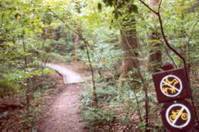 After climbing the hill take the narrow trail to the left that passes over a boardwalk.