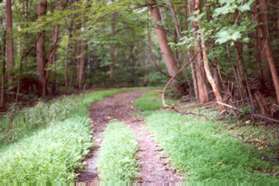 Turn right to follow the driveway.