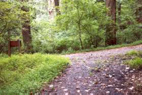 The driveway intersects with a service road.