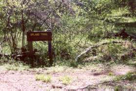 Turn right at the trail next to the Upland Trail sign.  This is the start of the Upland Trail.