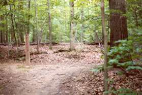 Turn right at the next trail intersection.