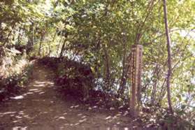 The trail arrives at the river.  Turn left to follow the trail along the river.