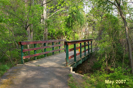 The trail crosses a stream.