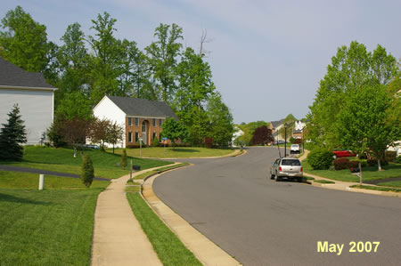 After crossing Bare Island Dr. turn right to follow the sidewalk along that road.