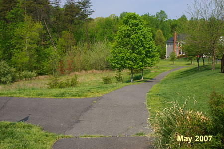 An asphalt trail intersects from the left. Continue straight on the present trail.