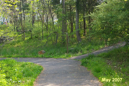 An asphalt trail intersects from the right. Keep left on this trail.