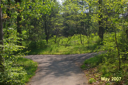 Turn left at the next intersecting asphalt trail.