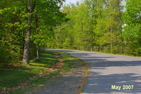 Turn right to follow the access road into the park.