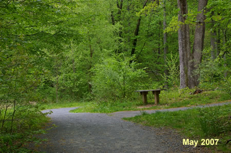 Turn right onto the next asphalt trail next to a bench.