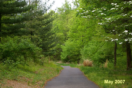 The trail continues through the woods.