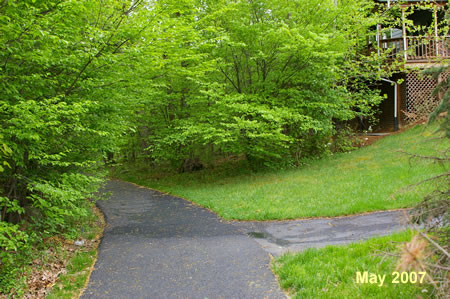 An asphalt trail intersects from the right. Continue straight on the present trail.