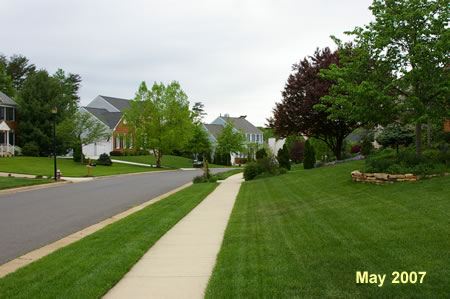 Follow this sidewalk to the end of this street.