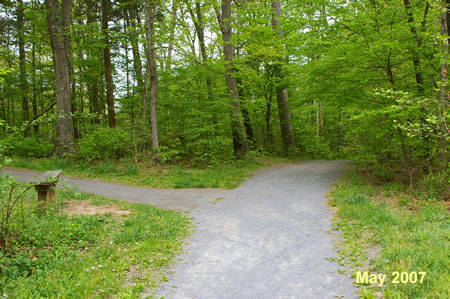 An asphalt trail intersects from the left. Continue straight on the present trail.