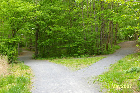 A gravel trail intersects on the right. Continue straight on the present trail.