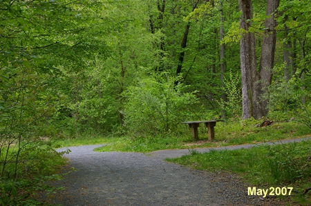 An asphalt trail intersects from the right next to a bench. Continue straight on the present trail.